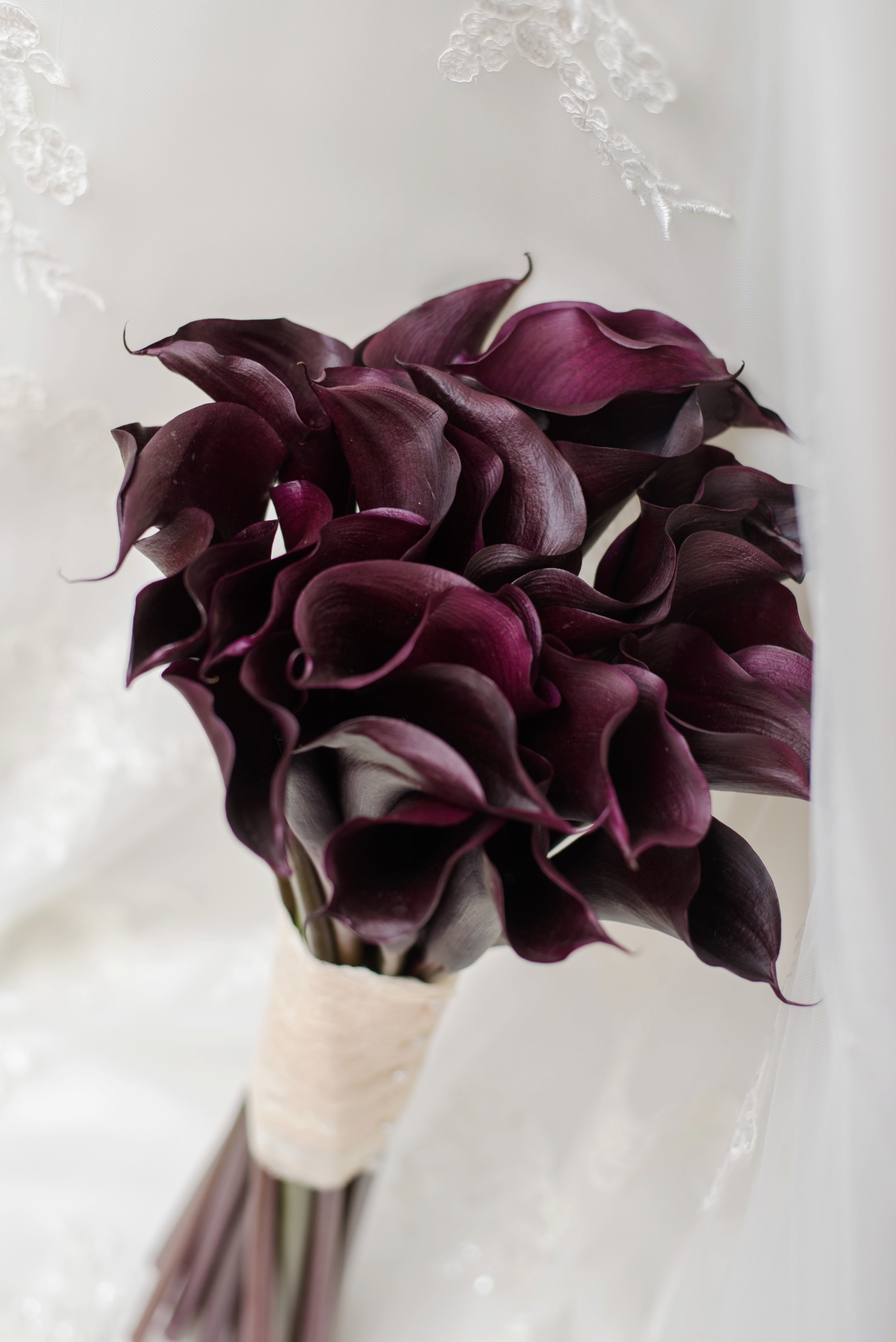 A unique floral bouquet of dark purple flowers wrapped in ribbon