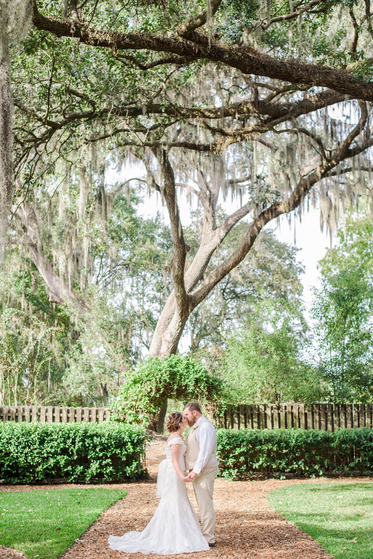 Bridal portrait under the old oak trees at cross creek ranch in Seffner, FL