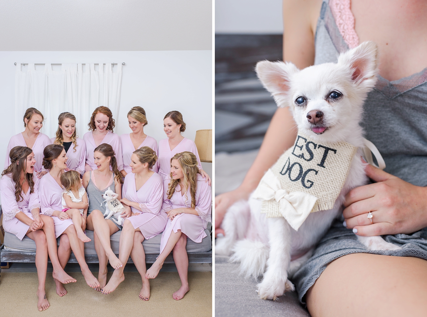 Bride and bridesmaids in pink robes and leroy the best dog