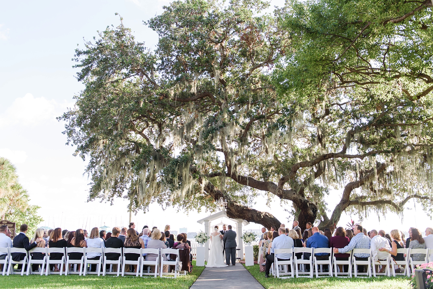 Wedding ceremony under a beautiful old oak tree in Palmetto, FL