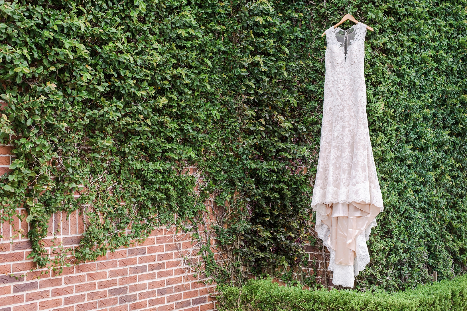 Wedding gown hanging on vines in Tampa, FL