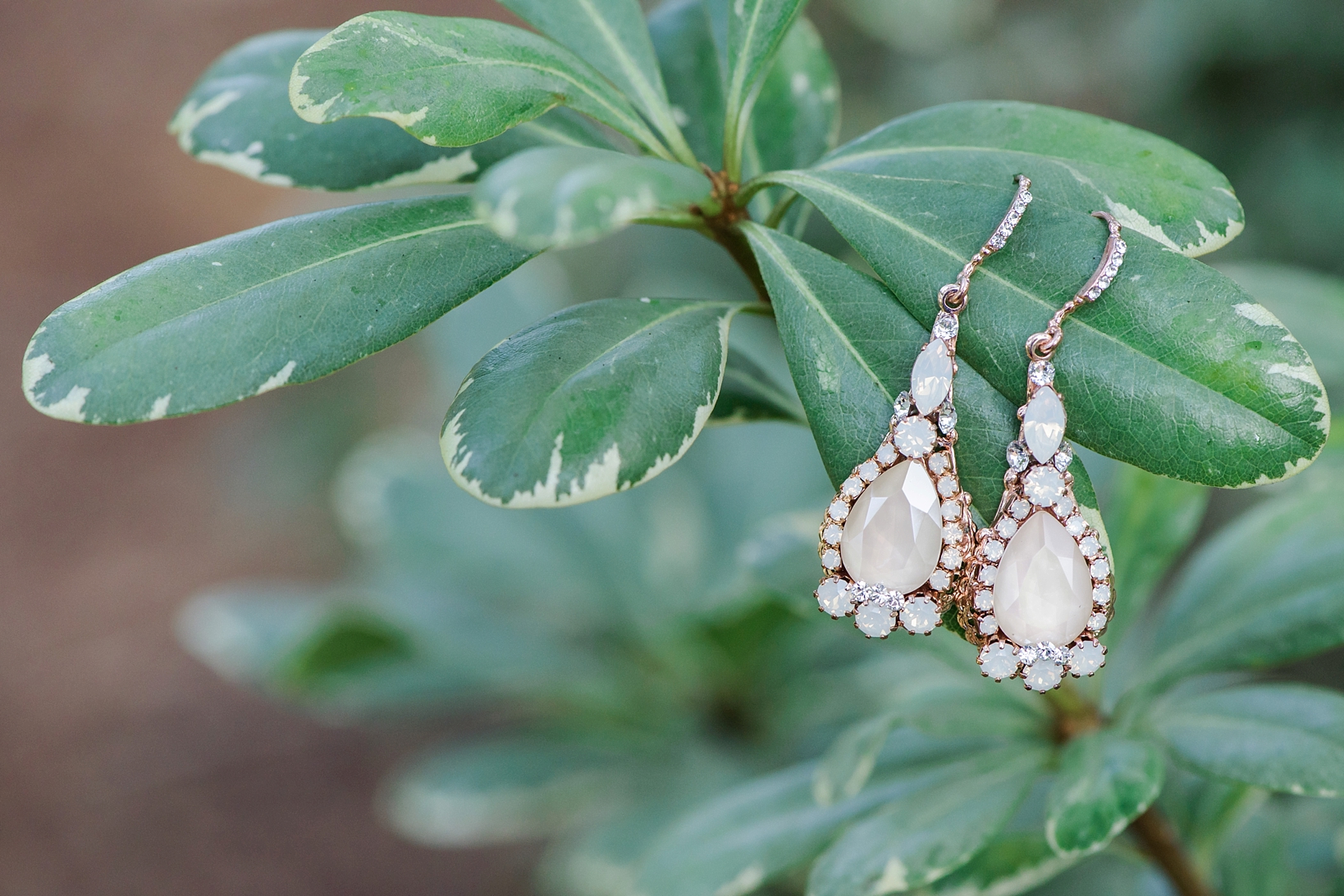Bridal Earrings on a leaf