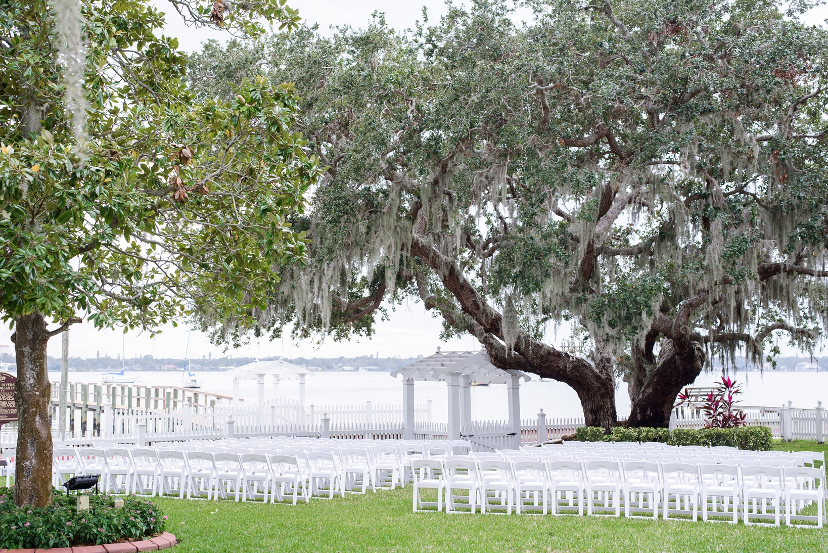 Wedding Ceremony under the oak tree at Palmetto Riverside BnB by Sarah & Ben Photography