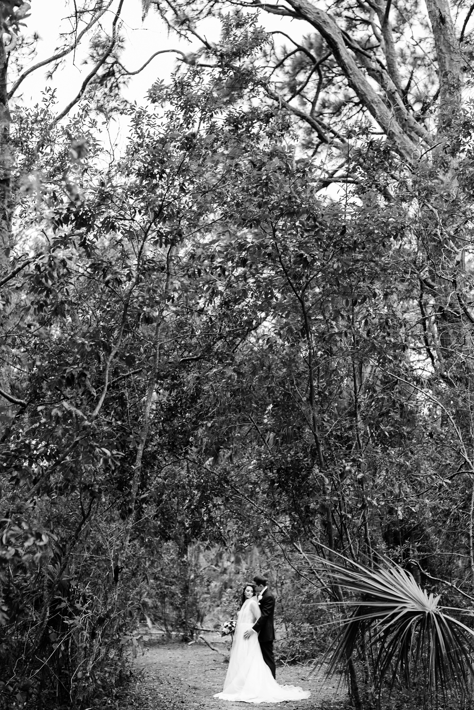 A stunning black and white photo of a bride and groom nearly engulfed in Florida trees and palms by Sarah & Ben Photography. Check out all our work at www.sarahben.com