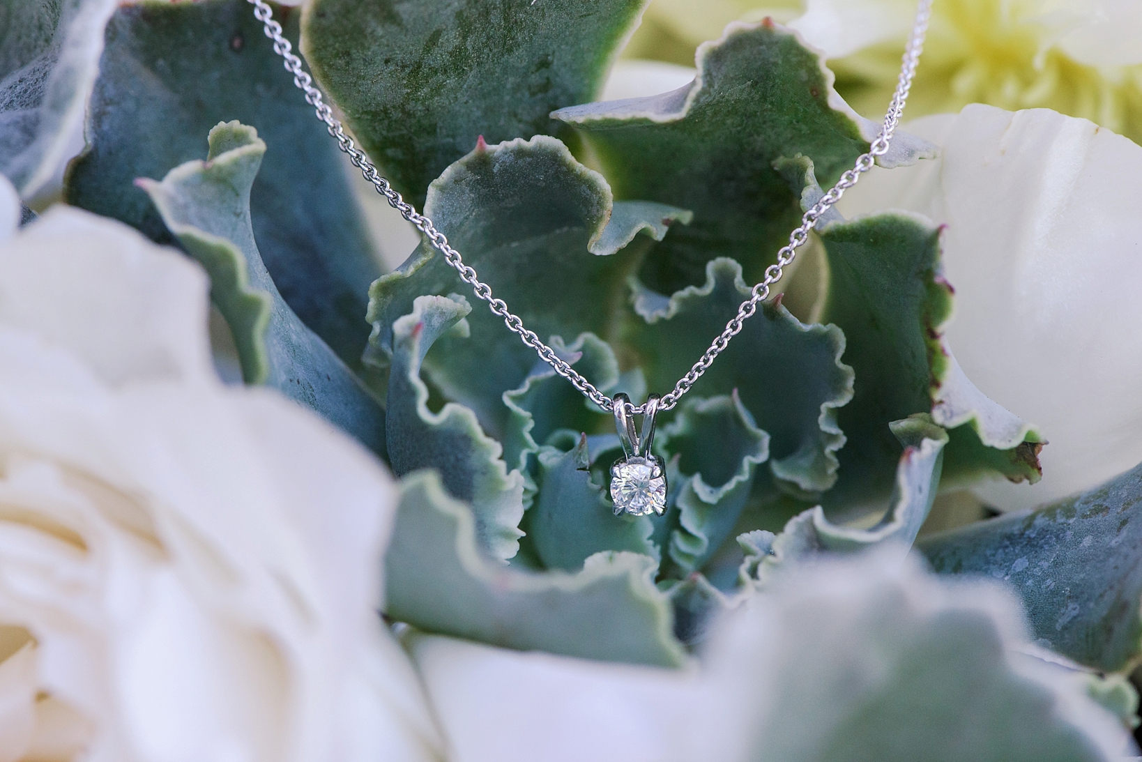 Brides diamond necklace against a succulent floral background