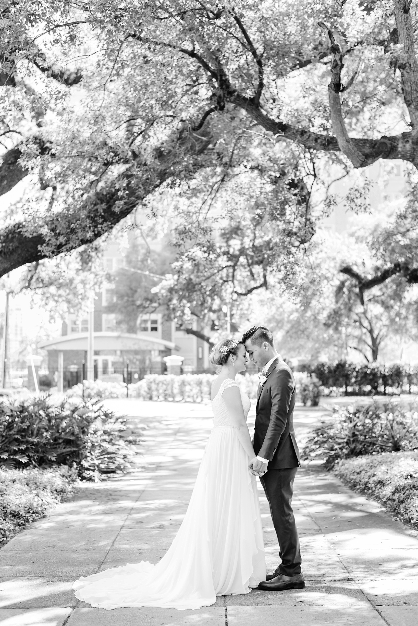 Black and White photo of a wedding couple under the oak trees of the University of Tampa