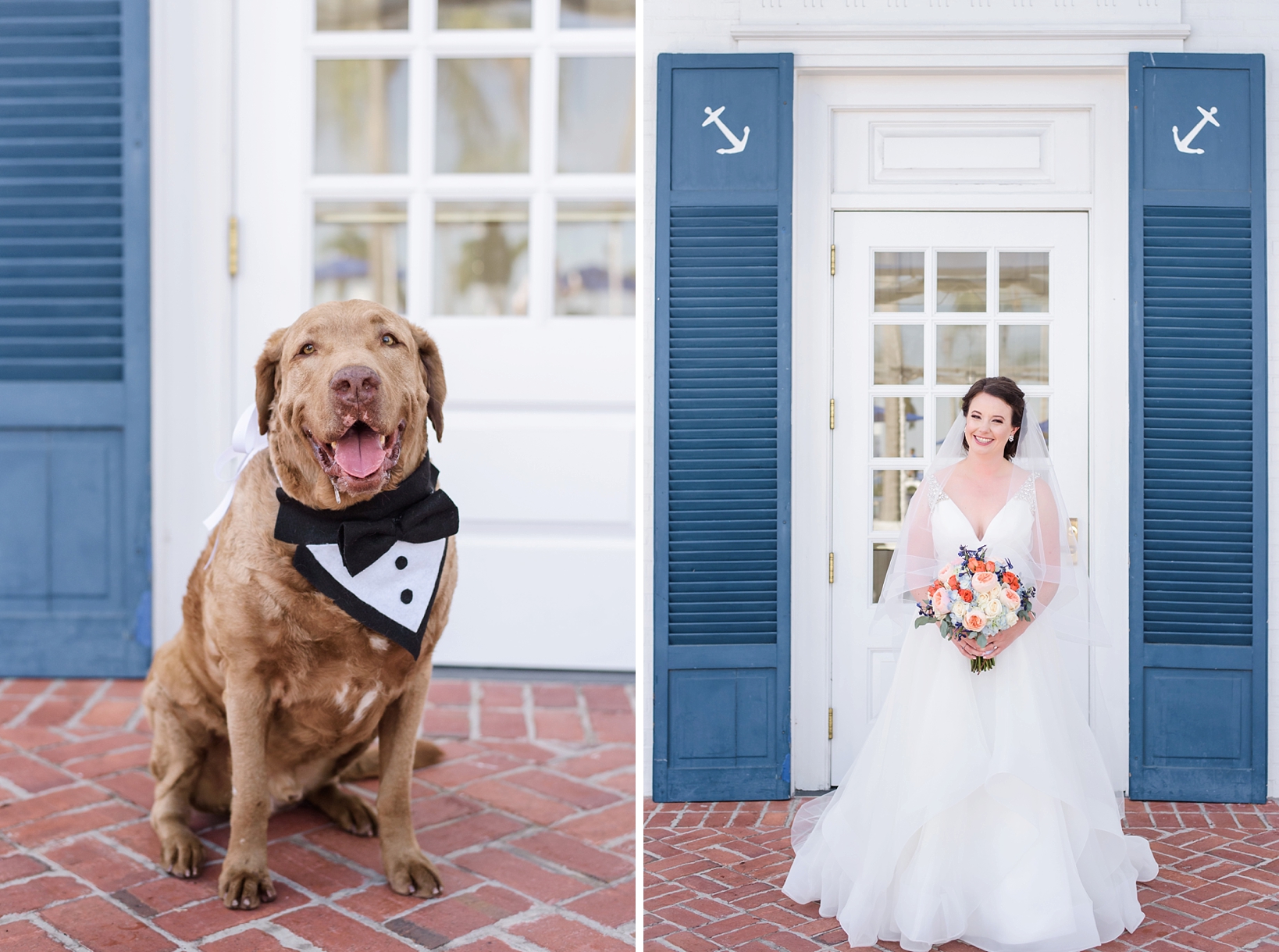 Bride and her dog wearing a tuxedo bandana pose for their photo in front of the doors of the Yacht Club