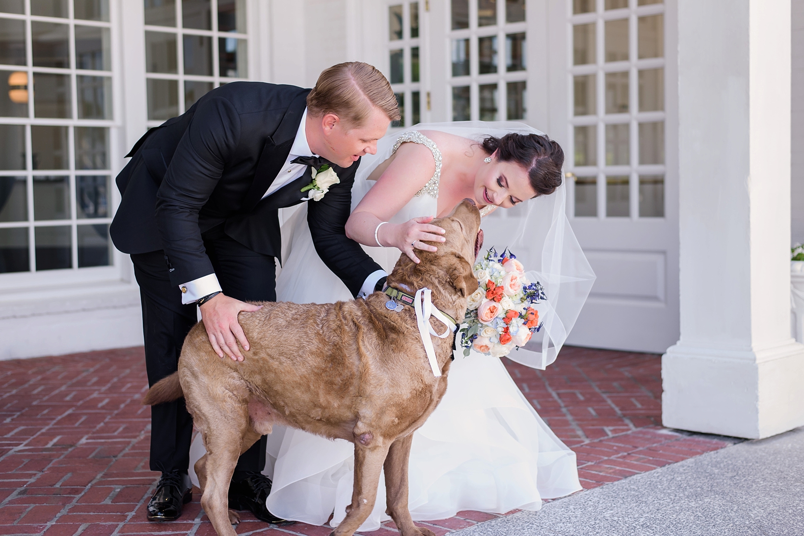 Bride and Groom share a moment with their labrador on their wedding day