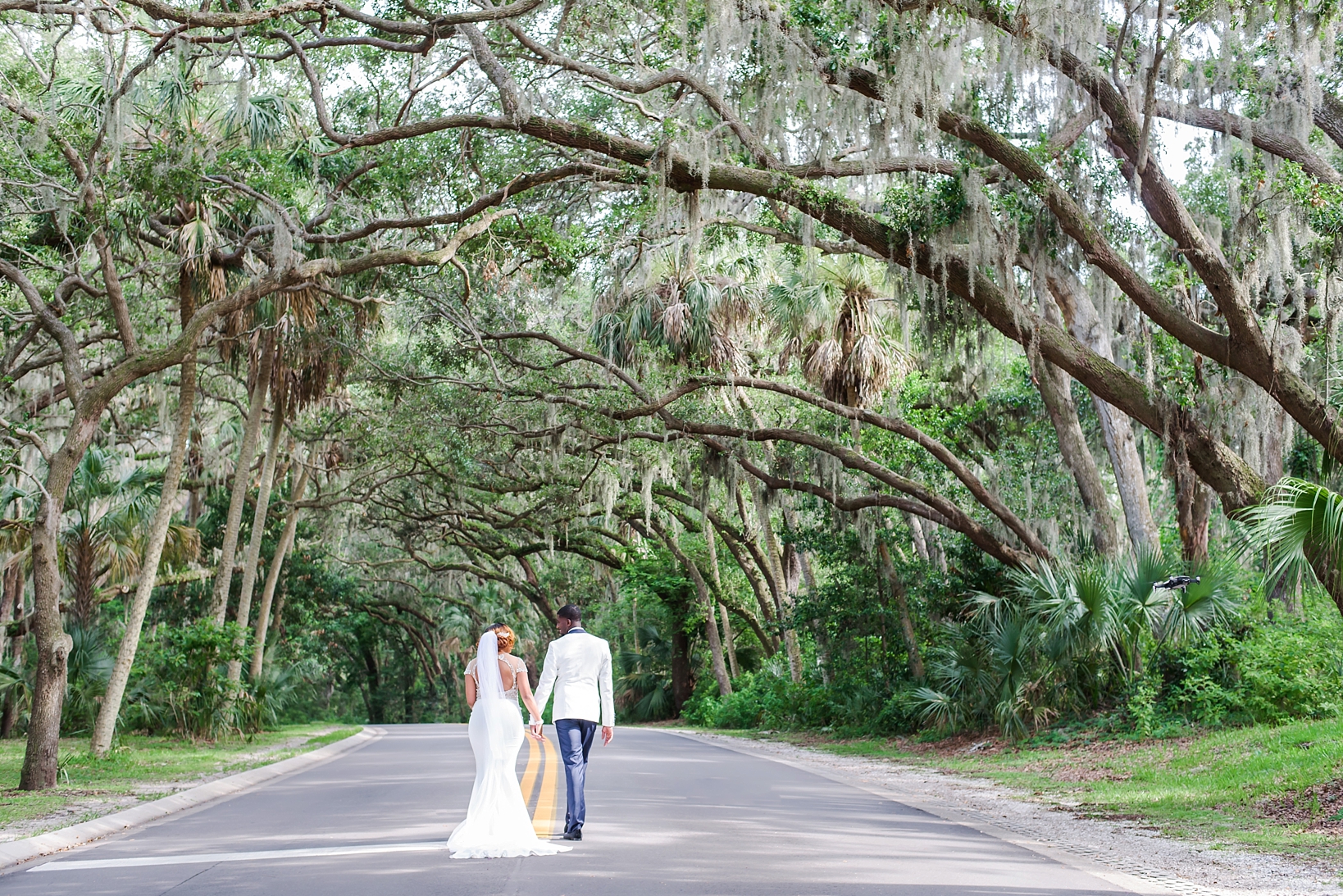 Tree lined street with the Bride and Groom centered under them