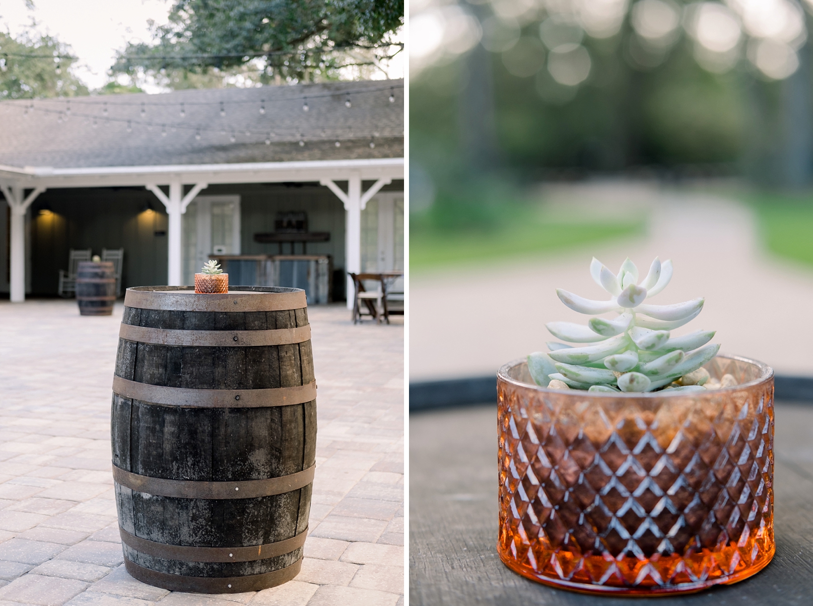 Reception details at the Bowing Oaks Plantation in Jacksonville, FL including a small succulent