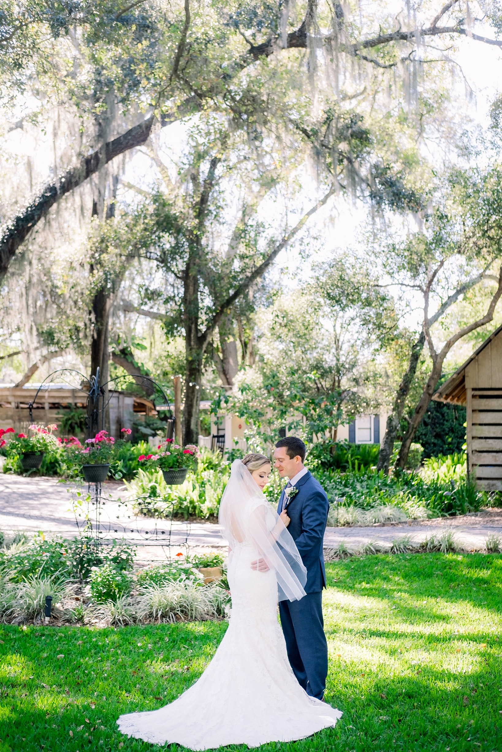 Bride and Groom portrait under the oak trees in Seffner, FL