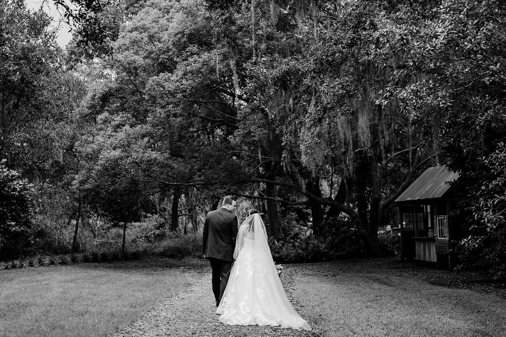 Wide shot of the Bride and Groom walking under the oak trees before their cross creek wedding reception