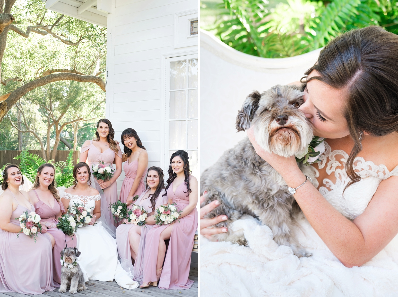 The Bride and her Bridesmaids pose on the porch with her dog after the wedding ceremony