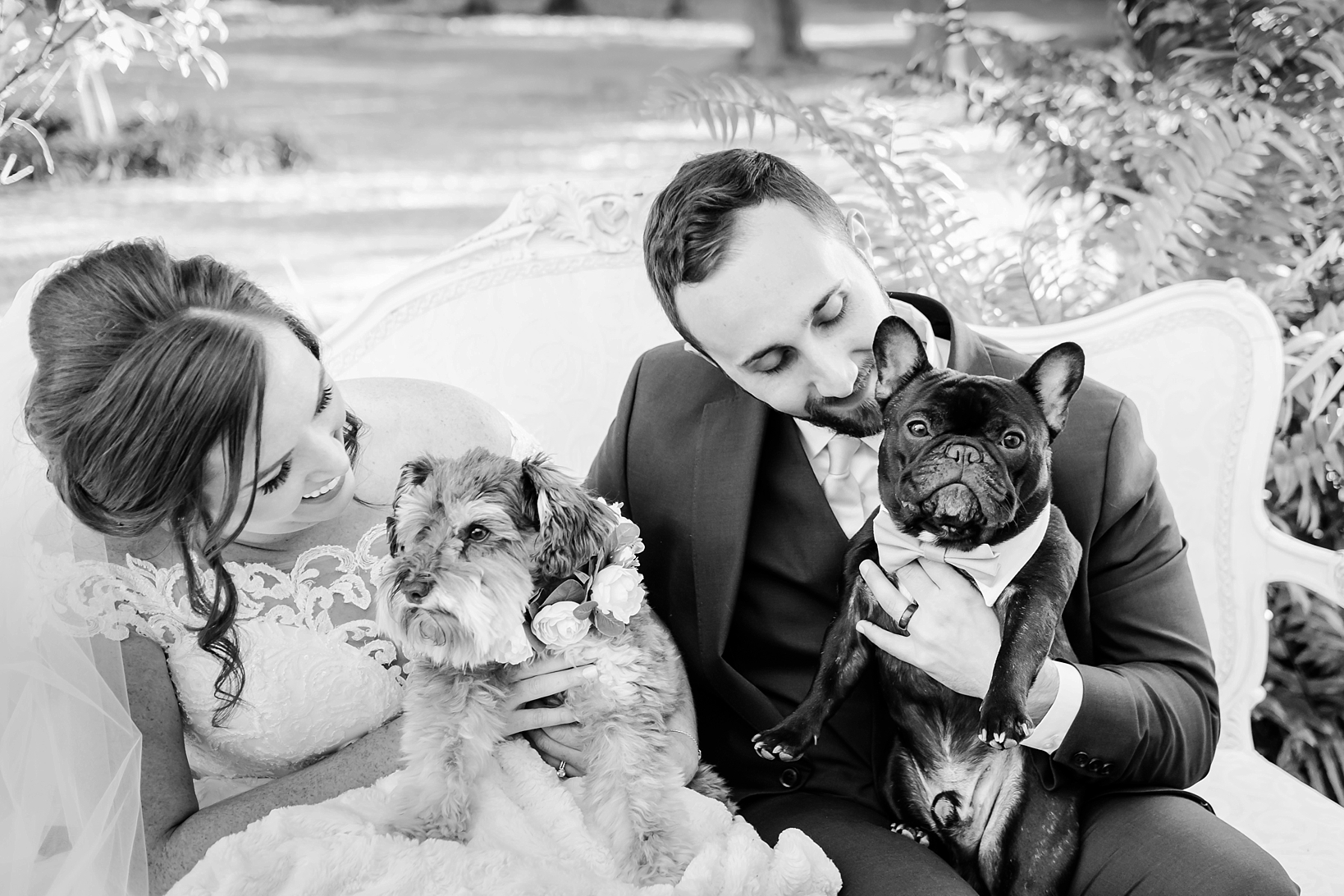 The Bride and Groom look a their dogs in timeless black and white photography