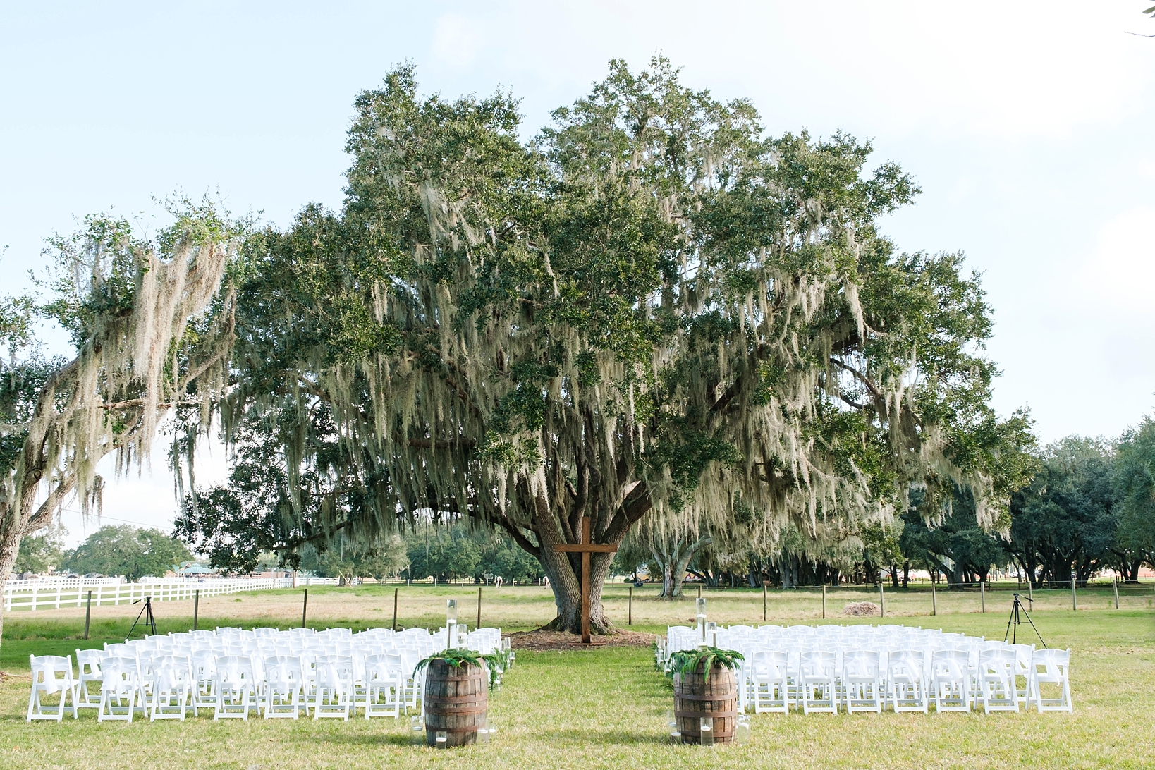 The wedding ceremony venue under an ancient oak tree in rural Florida