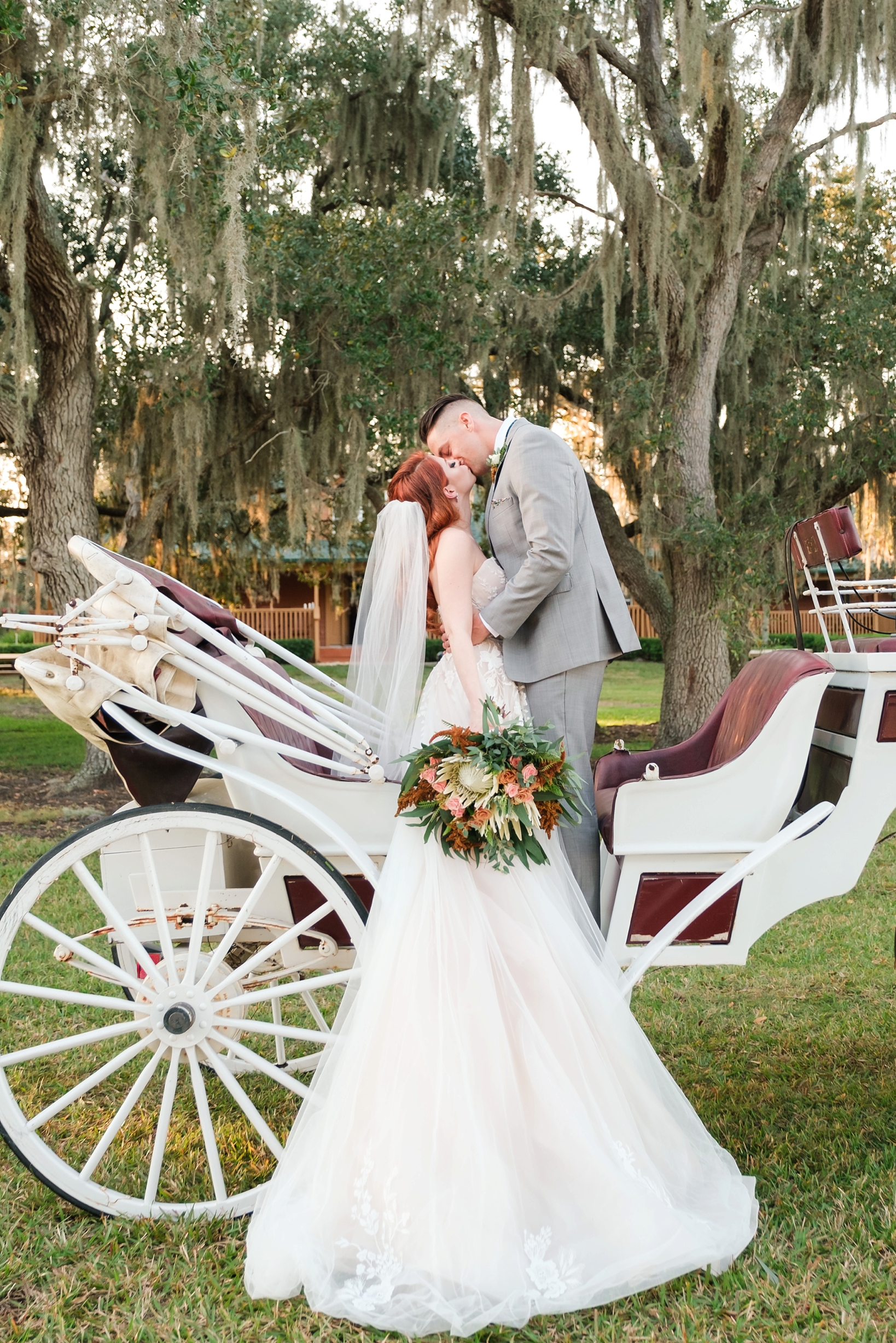 Bride and Groom share a passionate kiss on the horse drawn carriage